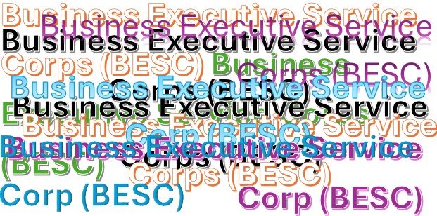 Business Executive Service Corps (BESC)